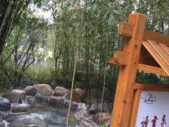 -咸宁万豪温泉谷度假区