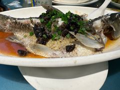 -美极鲜食坊(宝安南路店)