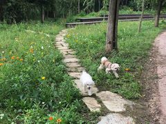 -白鹭湾湿地公园