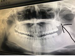 -浙江大学医学院附属口腔医院湖滨（延安）院区