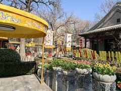 -白家大院·王府宫廷菜(苏州街店)