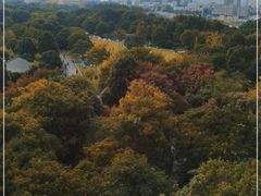 -杭州城北体育公园