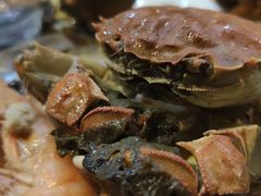 生螃蟹-苏格里岛自助海鲜烤肉火锅(集美万达店)