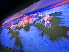 -罗红摄影艺术馆