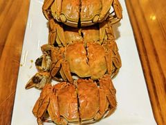 -呼吸森林·生态农庄农家乐私房菜