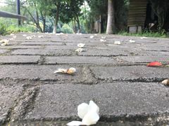 -象山森林公园