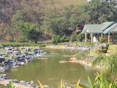 android_upload_pic-七珍佛山