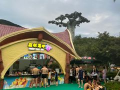 -苏州乐园森林水世界