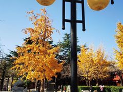 -北京石刻艺术博物馆(五塔寺)