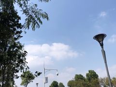 -瑶湖郊野森林公园