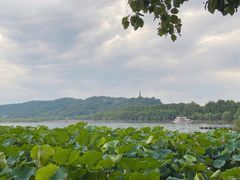 -湖畔居茶楼(湖滨店)