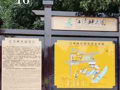-江湾神木园