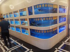 -隆聚·时令海鲜(洪兴店)