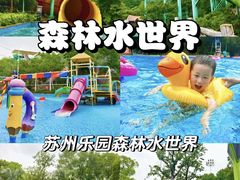 -苏州乐园森林水世界