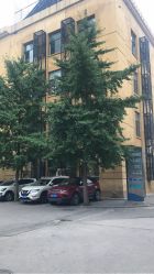 -Hair Co.一间沙龙