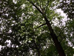 -成都市活水公园