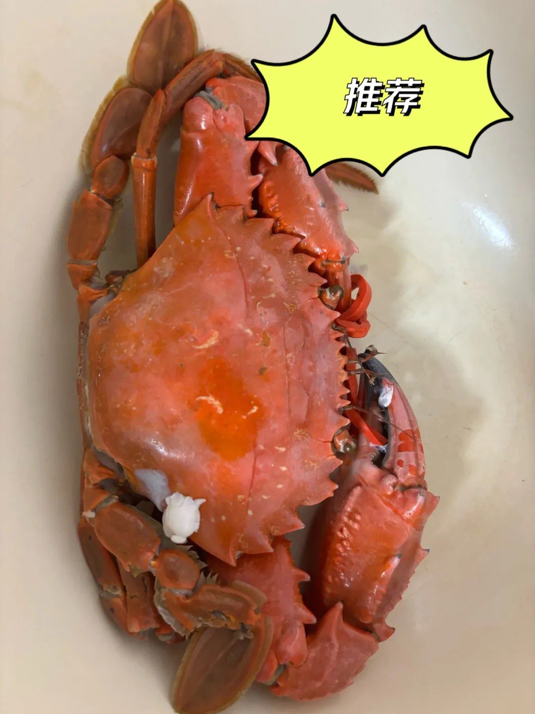 据说赤甲红没有母的