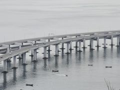 -星海湾跨海大桥