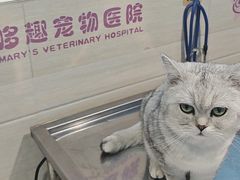 -哆趣宠物医院·眼科·内镜·急重症转诊中心(上海店)