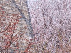 -北京明城墙遗址公园