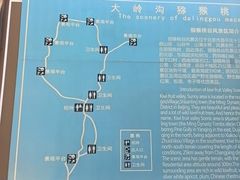 -大岭沟猕猴桃谷风景区
