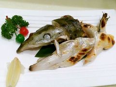 -禾绿寿司·定食·拉面·烧炸(喜荟城店)
