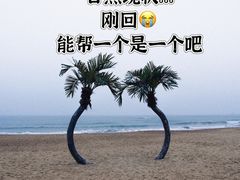 -日照灯塔风景区