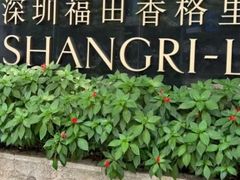 -深圳福田香格里拉大酒店