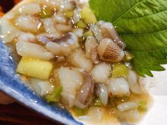 芥末章鱼-三岄笙·日式烧肉