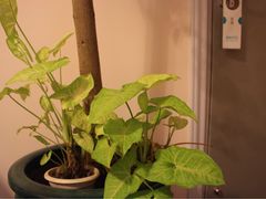 -厦门良筑精品酒店(厦门中山路店)