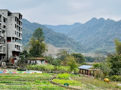 -长寿村