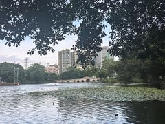 -荔湾湖公园
