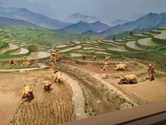 -中国农业博物馆