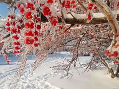 -长春公园(普阳街道)