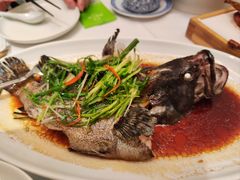 清蒸龙趸鱼-汤城小厨•粤菜•靓汤(金宝街店)