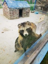 -童心园麦窑·儿童拓展探宝乐园