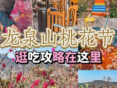 -桃源山庄·水蜜桃采摘·柴火鸡·烧烤团建(龙泉山店)