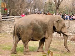 -西安秦岭野生动物园