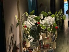 -涟LIAN·泰式按摩·MASSAGE·SPA(华强北店)