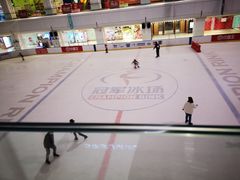 -炫采冰场(红博中央公园商场店)