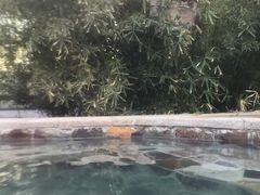 -中家鑫园温泉酒店鑫悦汤泉