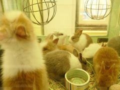 -龙猫仔乐园(惠福东路店)