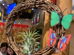 多肉-冰川延边料理·炭烤串(原小木屋店)