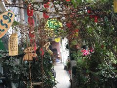 -树洞桌游宠咖小酒馆