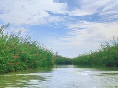 -泗洪洪泽湖湿地景区