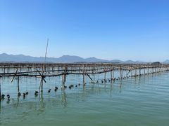 -盐洲岛