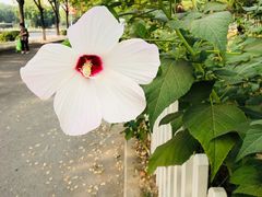 -回龙观体育文化公园