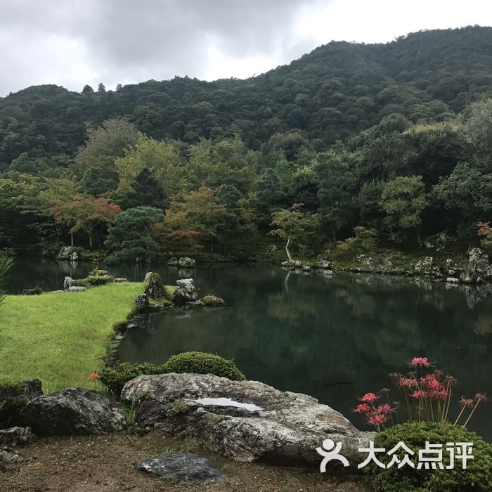 温州岚山公园图片图片