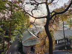-青羊宫