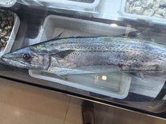 -华圆美食-老蓬莱菜(蓬港路店)